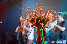 фото: Alai Oli в клубе Космонавт 01.12.11